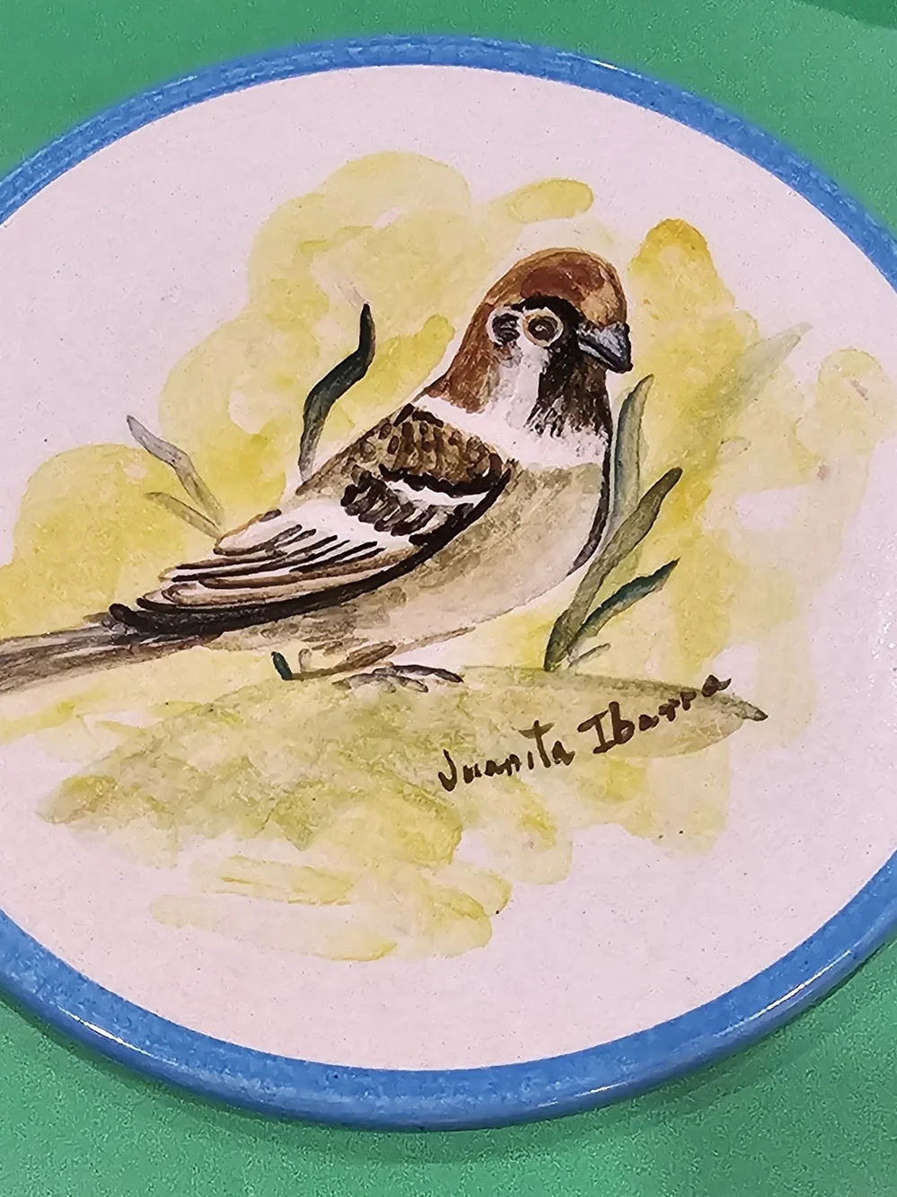 Juanita Ibarra size 5x6x5